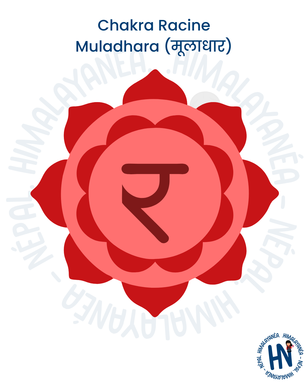 Chakra Racine - Muladhara (मूलाधार)